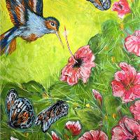 Colibri