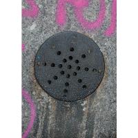 Urban Flower