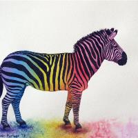 Rainbow Zebra