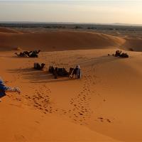 Sahara