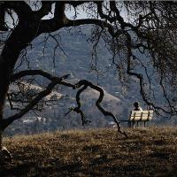 Quiet Place