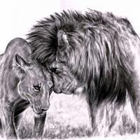 Lion_in_love__by_skytteole D4dsk69