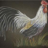 Chicken On Black Paper
