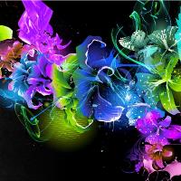 Colorful Illustration Digital Art Flowers