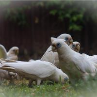 Feed Time