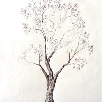 Dancing Tree
