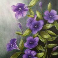 Carolina Wild Petunia (Ruellia Caroliniensis)