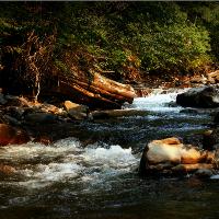 Isabella Creek