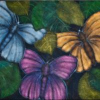 Butterflies