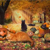 Cats In Autumn