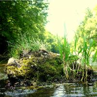 Riviere