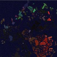 Wood Duck Mosaic Dev 1