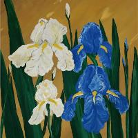 Irises