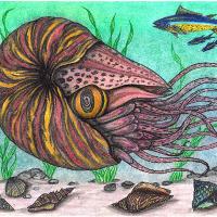 The Legendary Nautilus Sea Creature