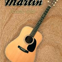Wonderful Martin Acoustic Guitar