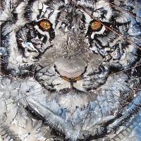 Zoetic Epithet Purregrination Transflecting Silent Whispers Heard