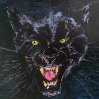 Midnight Hunter