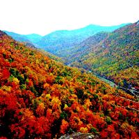 Hiking Through The Appalachians