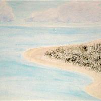 Ocracoke Marsh