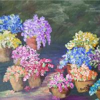 Colorful Flowers With Pots
