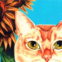 Feline Art