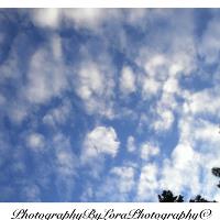 Scenic Landscape Photography