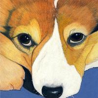 Domestic Dogs