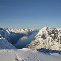 Wild Norway
