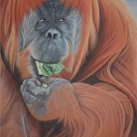 Wildlife Art