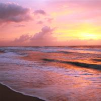 Seascapes