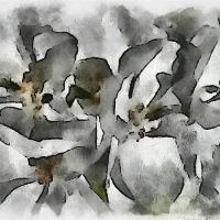 Aquarell