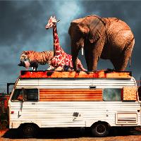 Surrealism and Whimsical