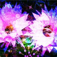 Digital/Surreal Art