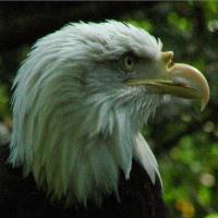 Nature Photography