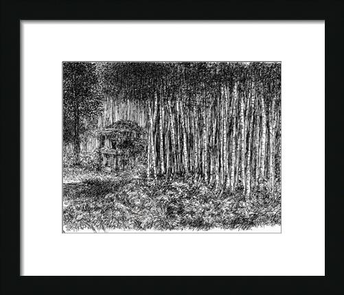 Pen And Ink_nature 20