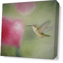 Humming Bird Love - Gallery Wrap Plus