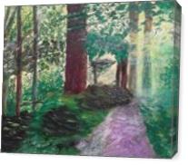 Woodland Path - Gallery Wrap