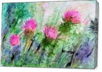 Thistles - Gallery Wrap