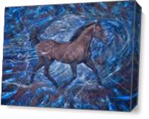 Storming Stallion As Canvas