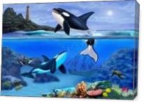 The Orca Family - Gallery Wrap