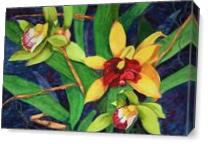 Orchids - Gallery Wrap Plus