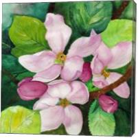 Romantic Apple Blossom Soft Watercolor Art - Gallery Wrap