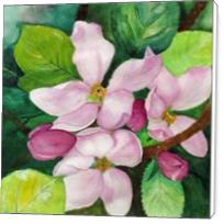 Romantic Apple Blossom Soft Watercolor Art - Standard Wrap