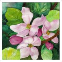 Romantic Apple Blossom Soft Watercolor Art - No-Wrap