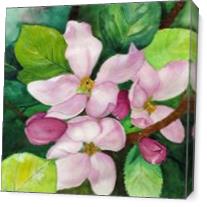 Romantic Apple Blossom Soft Watercolor Art - Gallery Wrap Plus