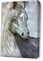 Sketch- Horse - Gallery Wrap Plus