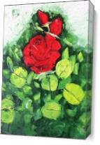 Red Rose Ikebana. - Gallery Wrap Plus