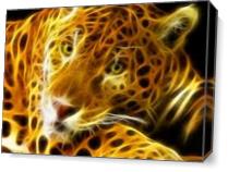 Tiger - Gallery Wrap Plus