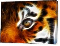 Tiger - Gallery Wrap