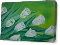 Tulipanes As Canvas